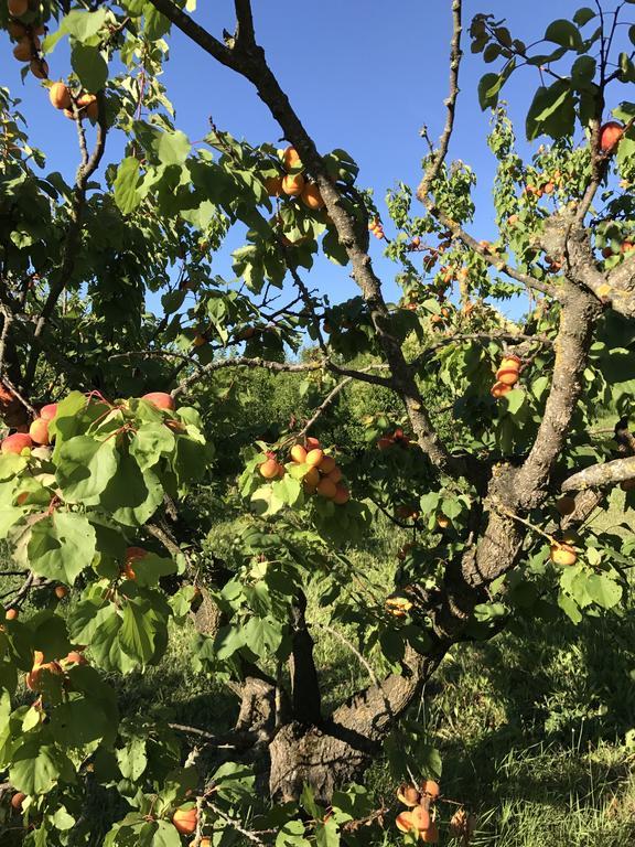 Agriturismo Ca Lunati Castelletto Mendosio Ngoại thất bức ảnh